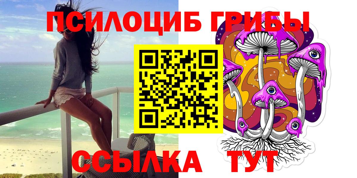 Галлюциногенные грибы Psilocybe  Вход с VPN  купить закладку  Евпатория 