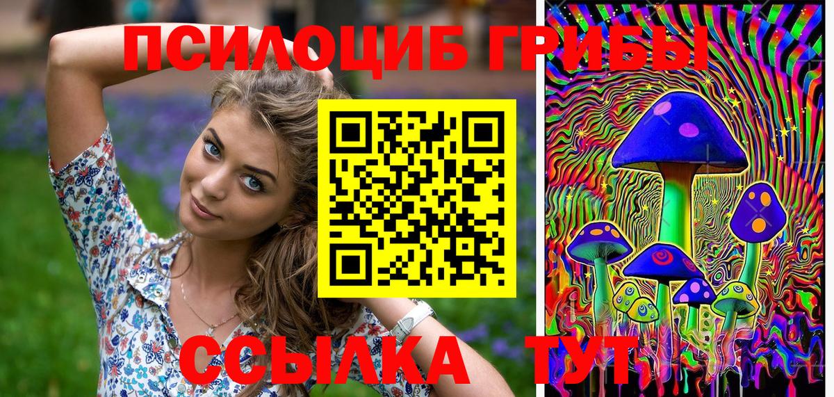 Галлюциногенные грибы мицелий Евпатория